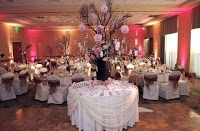 The Specialist Event Company Ltd 1092917 Image 0